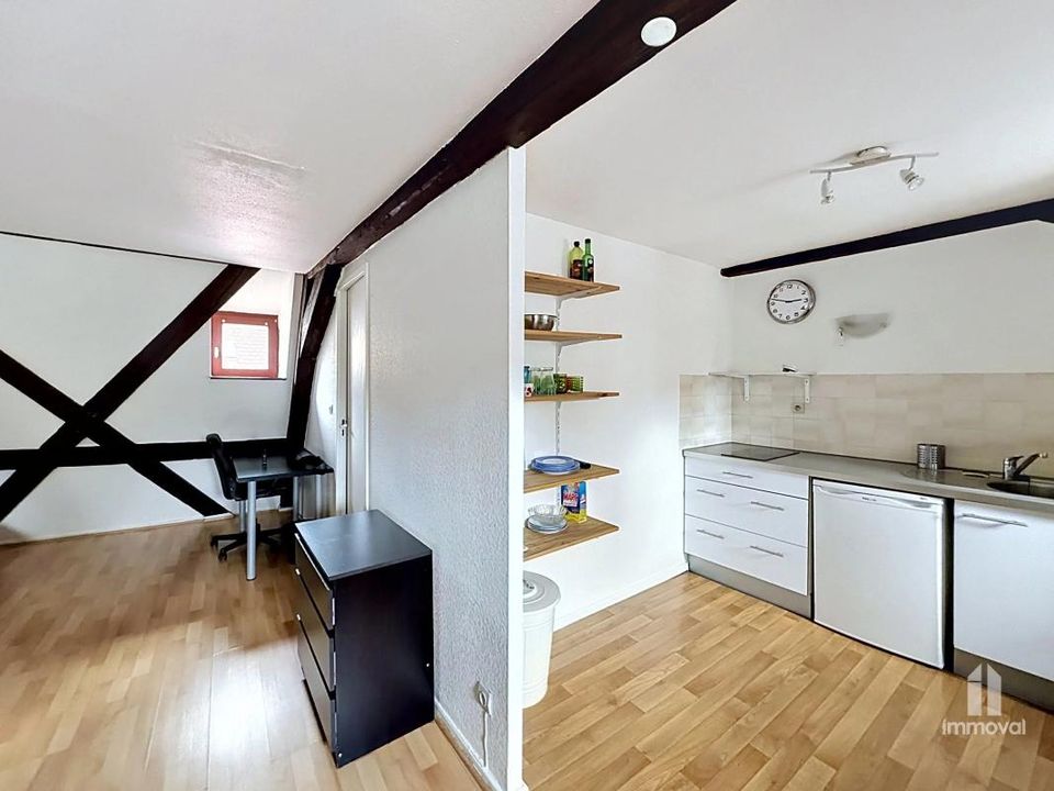 Studio i Strasbourg, Bas-Rhin - foto 5