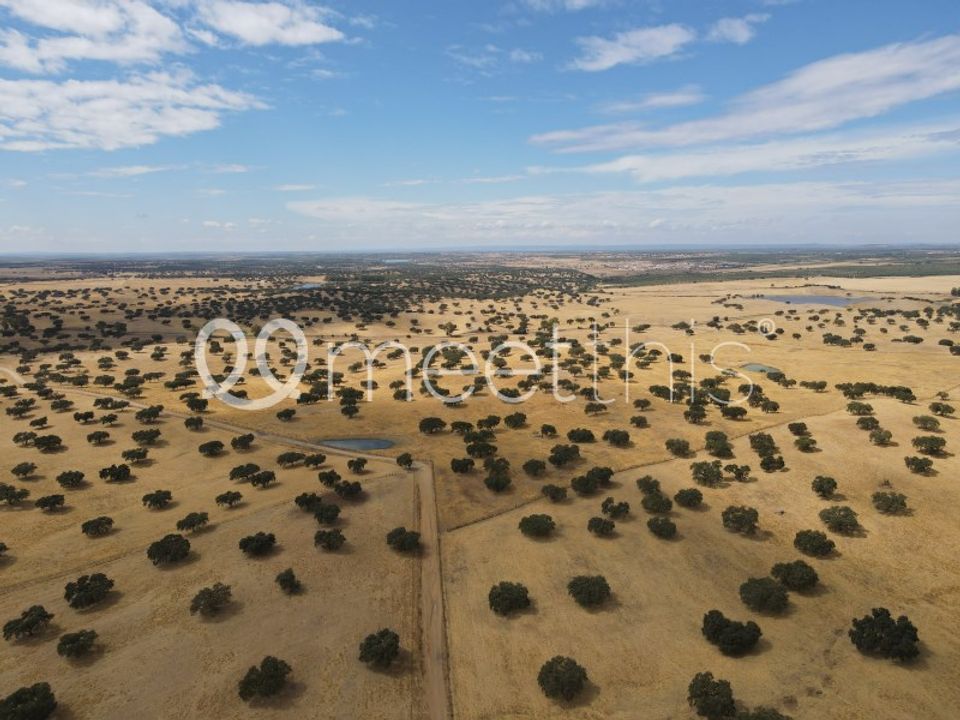 Masia a Serpa, Beja - foto 2