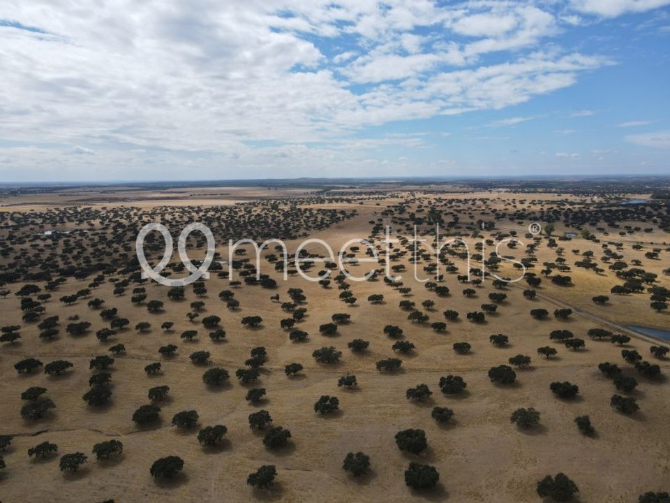 Masia a Serpa, Beja - foto 4