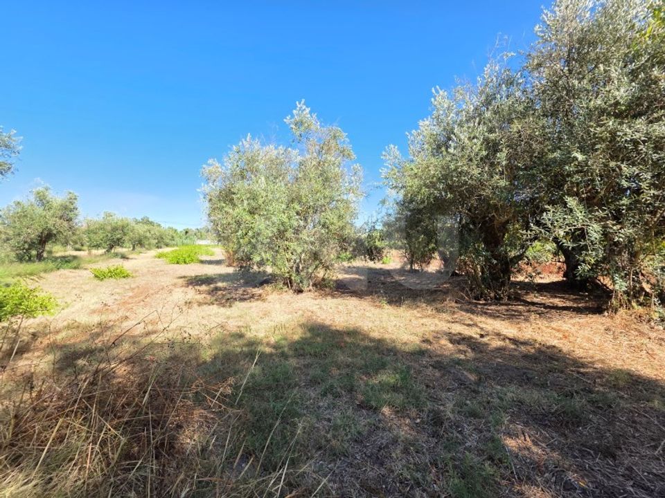 Villa i Abrantes, Santarem - foto 1