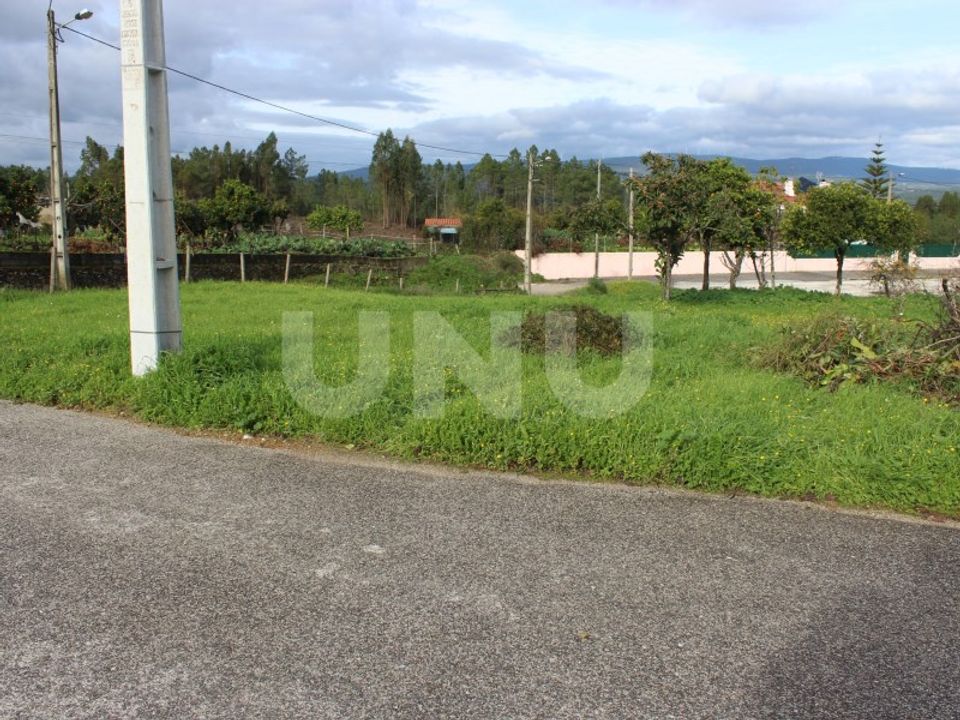 Helårsgrund i Proenca-a-Nova, Castelo Branco - foto 2