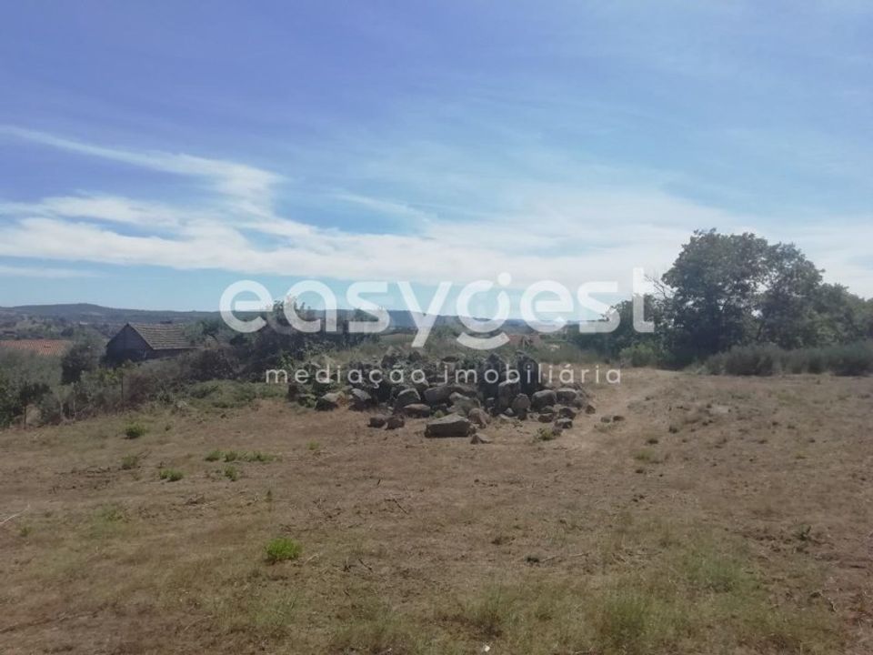 Terra em Caria, Castelo Branco - foto 1