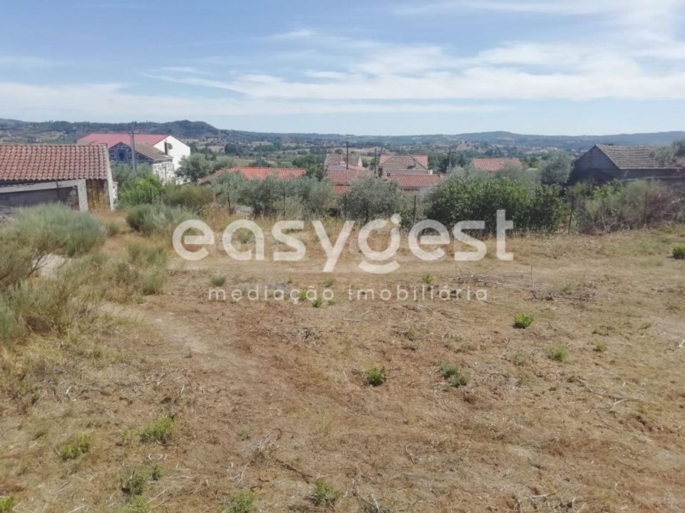 Terra em Caria, Castelo Branco - foto 2