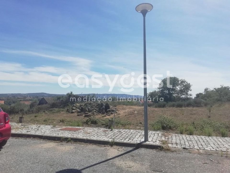 Terra em Caria, Castelo Branco - foto 4