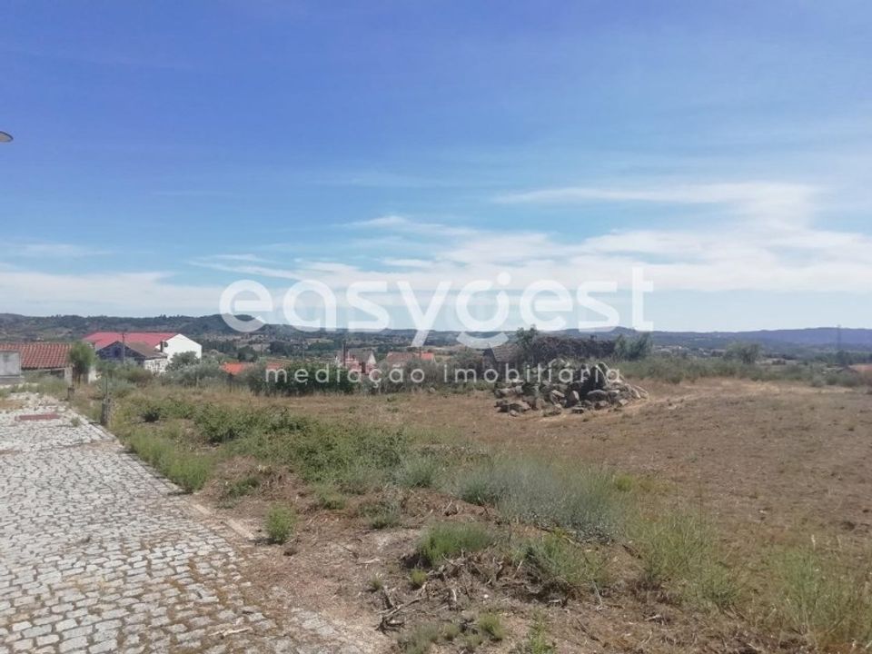 Terra em Caria, Castelo Branco - foto 5