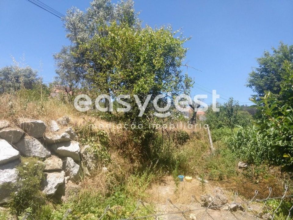 Terreno en Rio de Loba, Viseu - foto 1