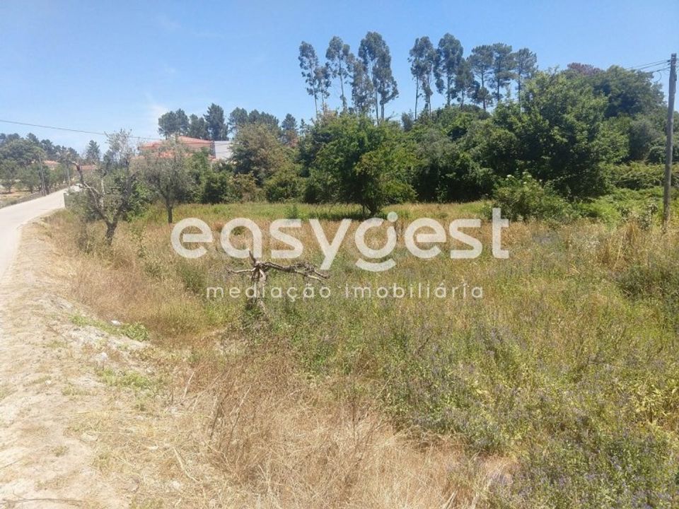Terreno en Rio de Loba, Viseu - foto 3