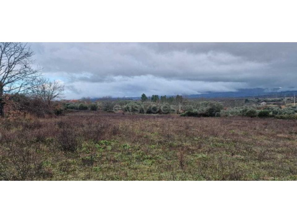 Terra em Peraboa, Castelo Branco - foto 1