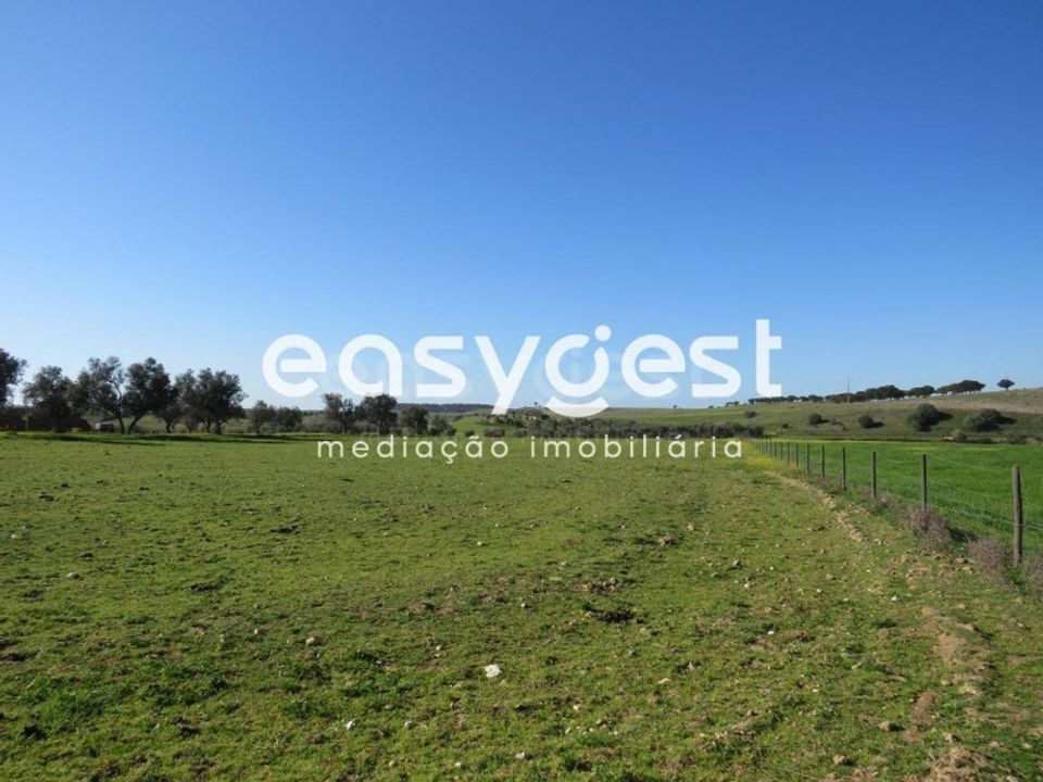 Terra a Aljustrel, Beja - foto 3