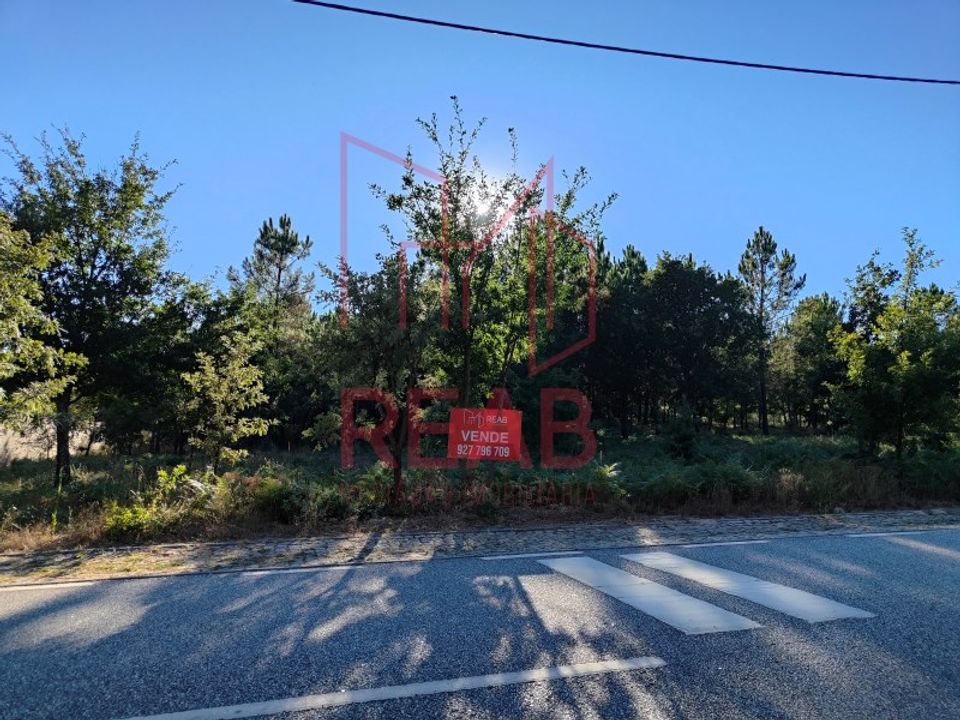 Tomt i Aguiar da Beira, Guarda - bilde 1