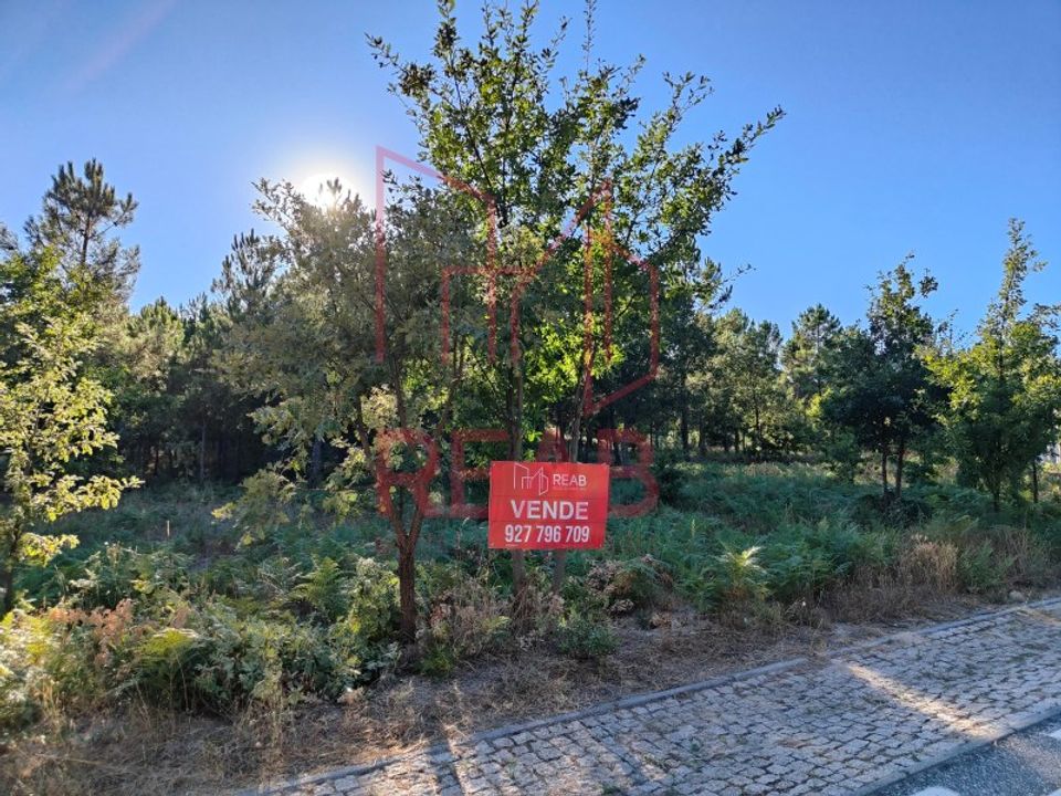 Tomt i Aguiar da Beira, Guarda - bilde 2