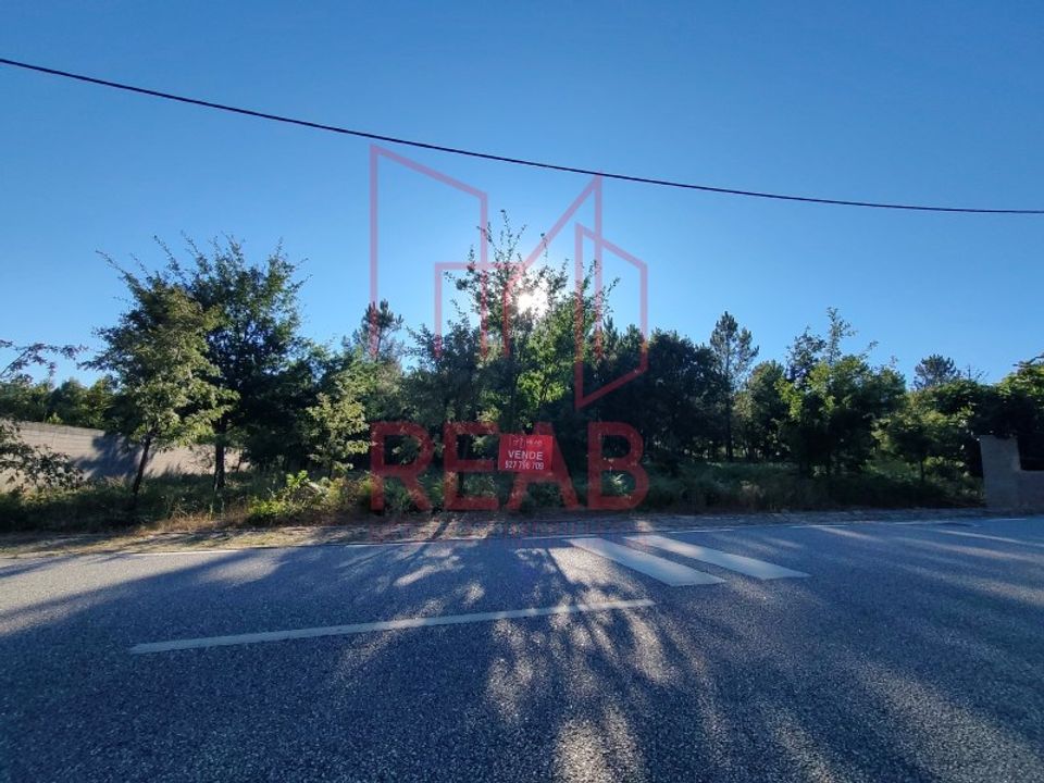 Tomt i Aguiar da Beira, Guarda - bilde 3