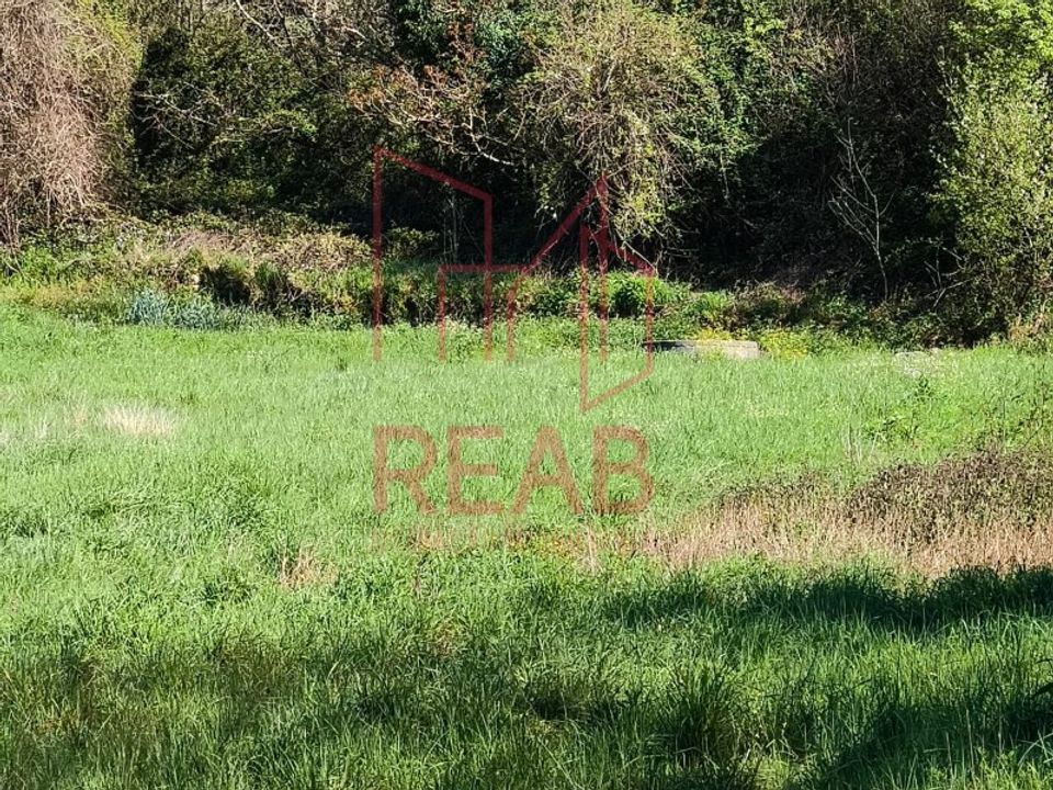 Tomt i Aguiar da Beira, Guarda - bilde 5