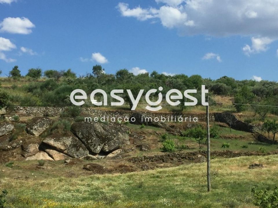 Grundstück in Vila Flor, Braganca - Foto 1