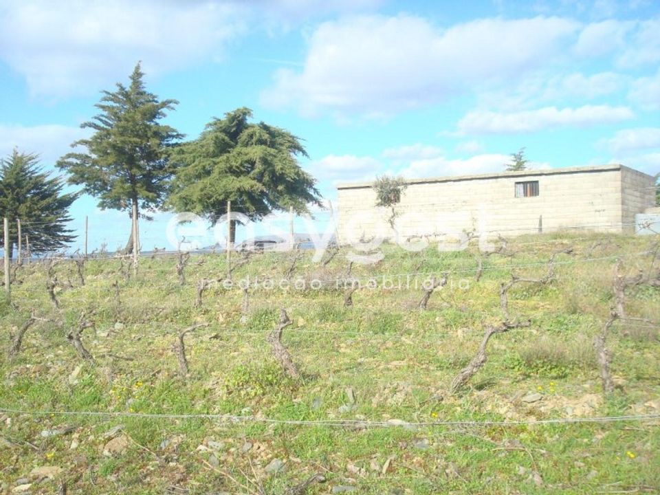 Grond in Castelo Melhor, Guarda - foto 2