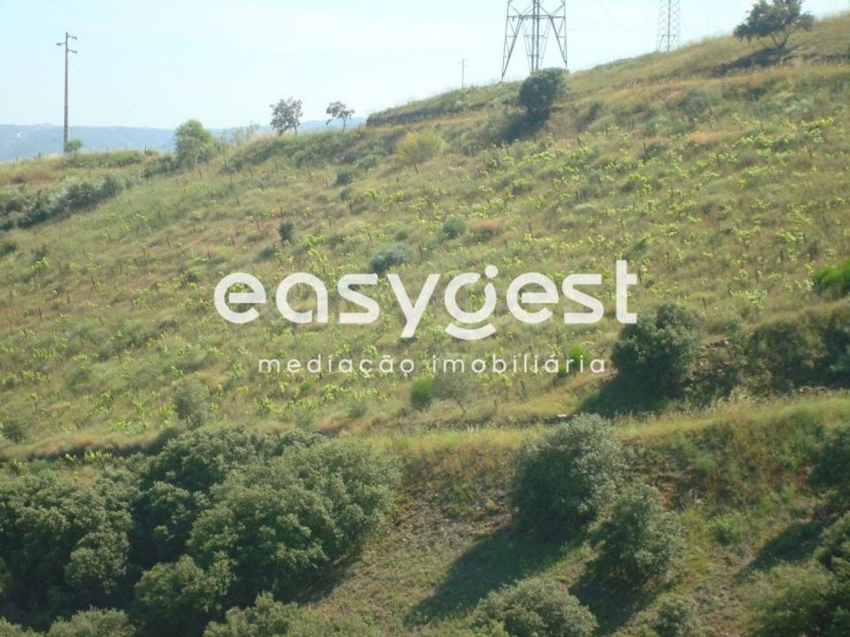 Helårsgrund i Longroiva, Guarda - foto 5