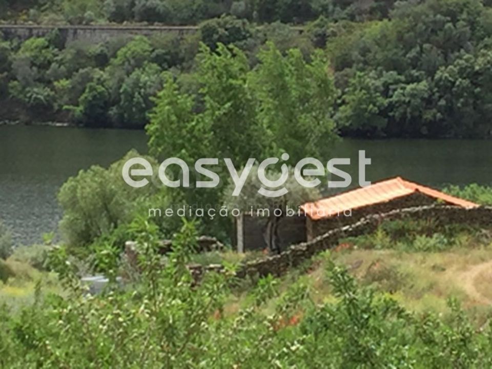 Terreno en Torre de Moncorvo, Braganca - foto 3