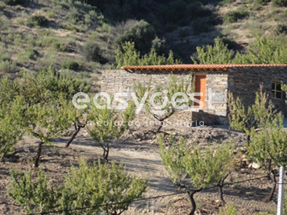 Terreno en Torre de Moncorvo, Braganca - foto 4