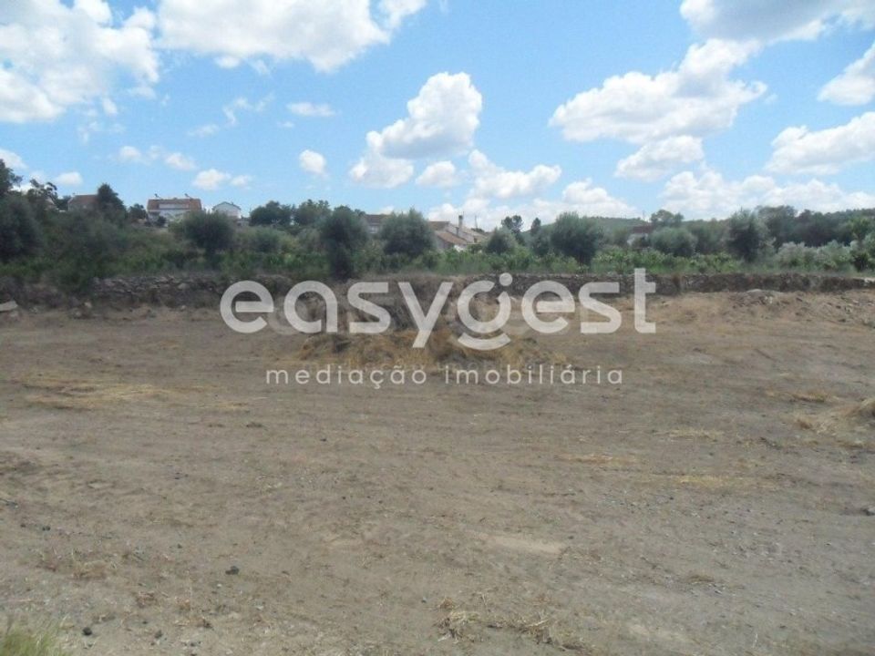 Terra em Peraboa, Castelo Branco - foto 5