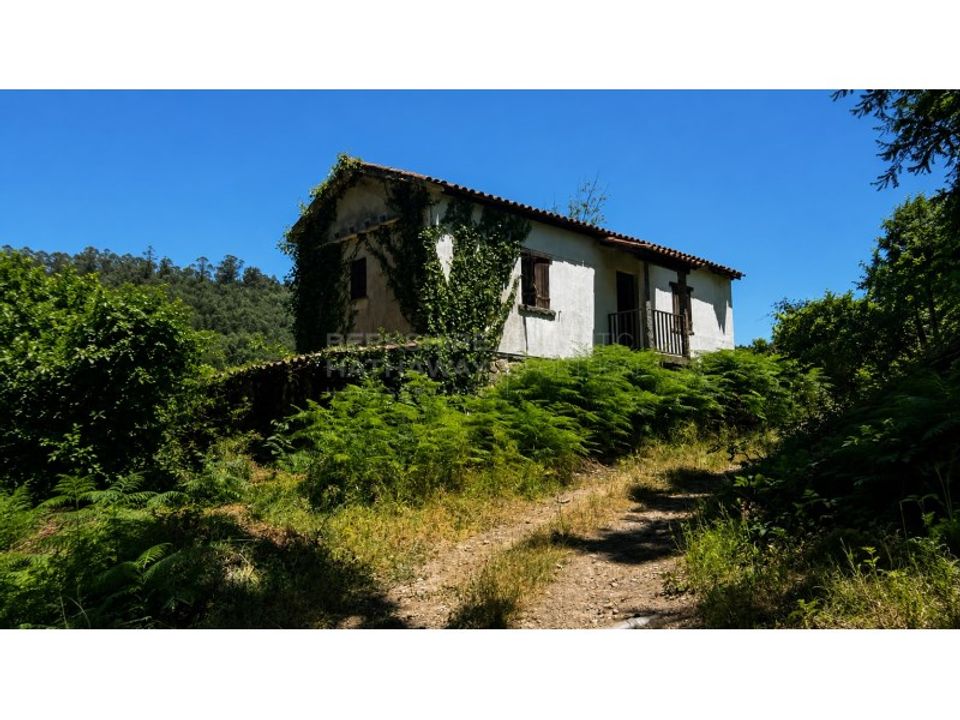 Farm i Vouzela, Viseu - foto 1