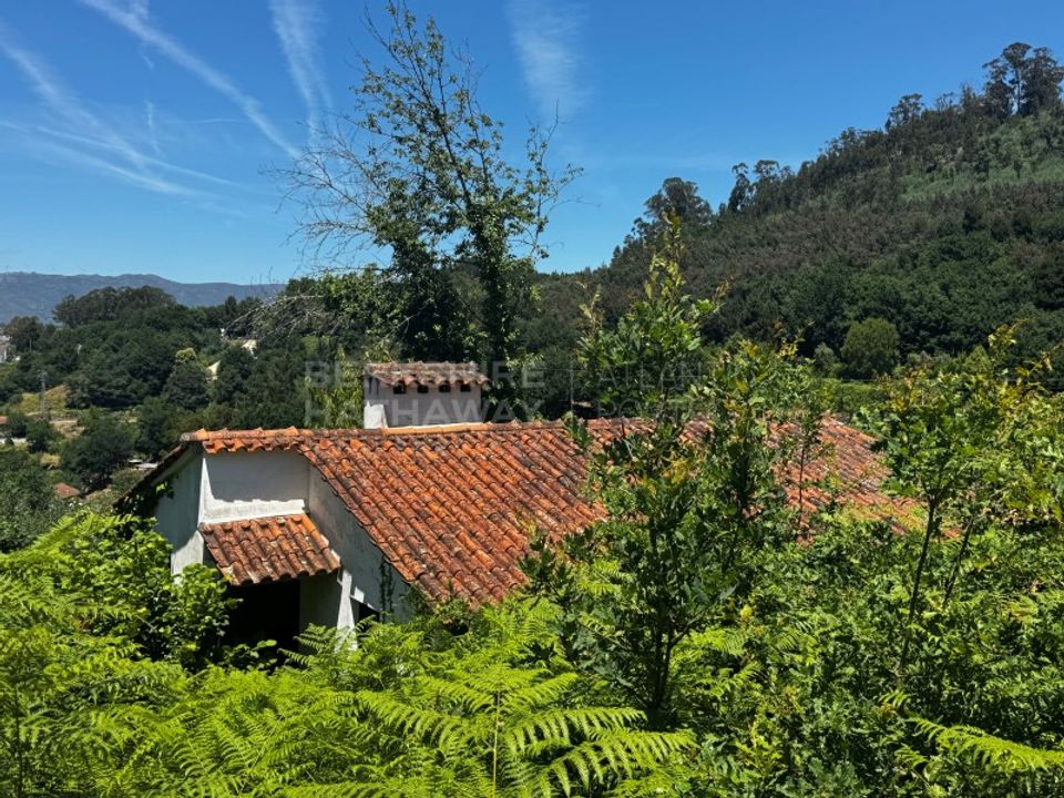 Farm i Vouzela, Viseu - foto 2