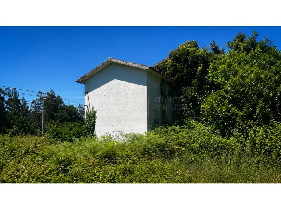 Farm i Vouzela, Viseu - foto 4