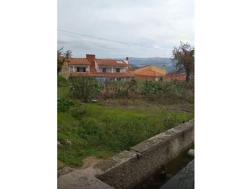 Quinta em Tarouca, Viseu - foto 5