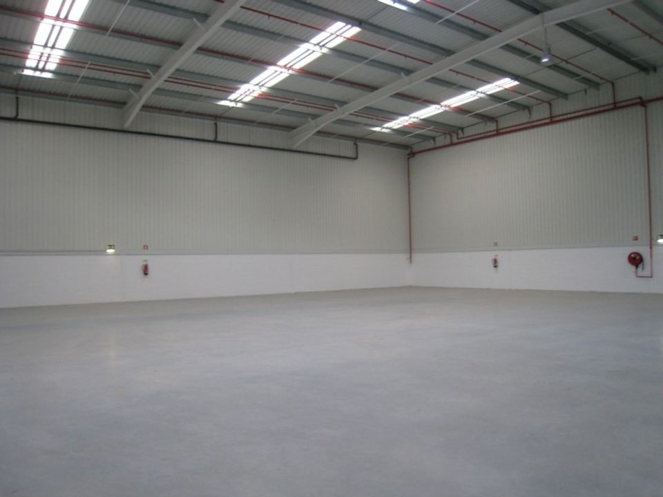 Commercial property in Benavente, Santarem - photo 3
