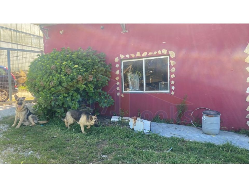 Helårsgrund i Olho Marinho, Leiria - foto 2