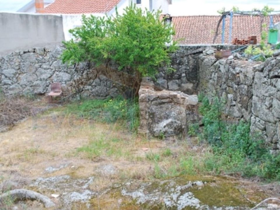 Helårsgrund i Idanha-a-Nova, Castelo Branco - foto 4