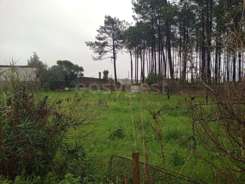 Helårsgrund i Pataias, Leiria - foto 3
