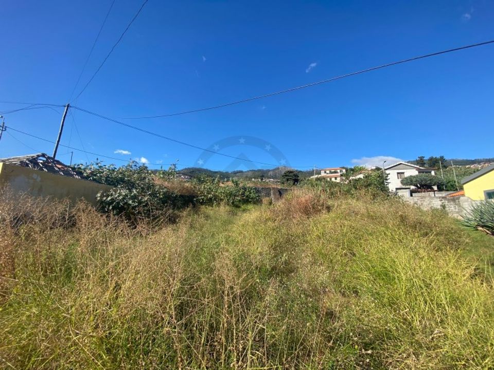 Helårsgrund i Sao Roque, Madeira - foto 2