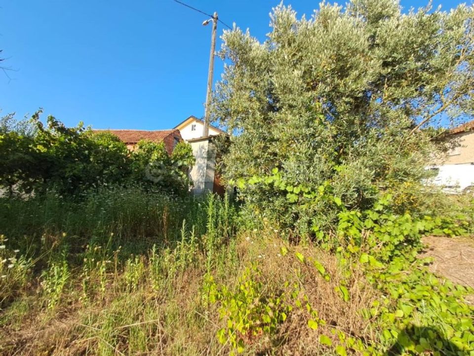 Farm i Dardavaz, Viseu - foto 4
