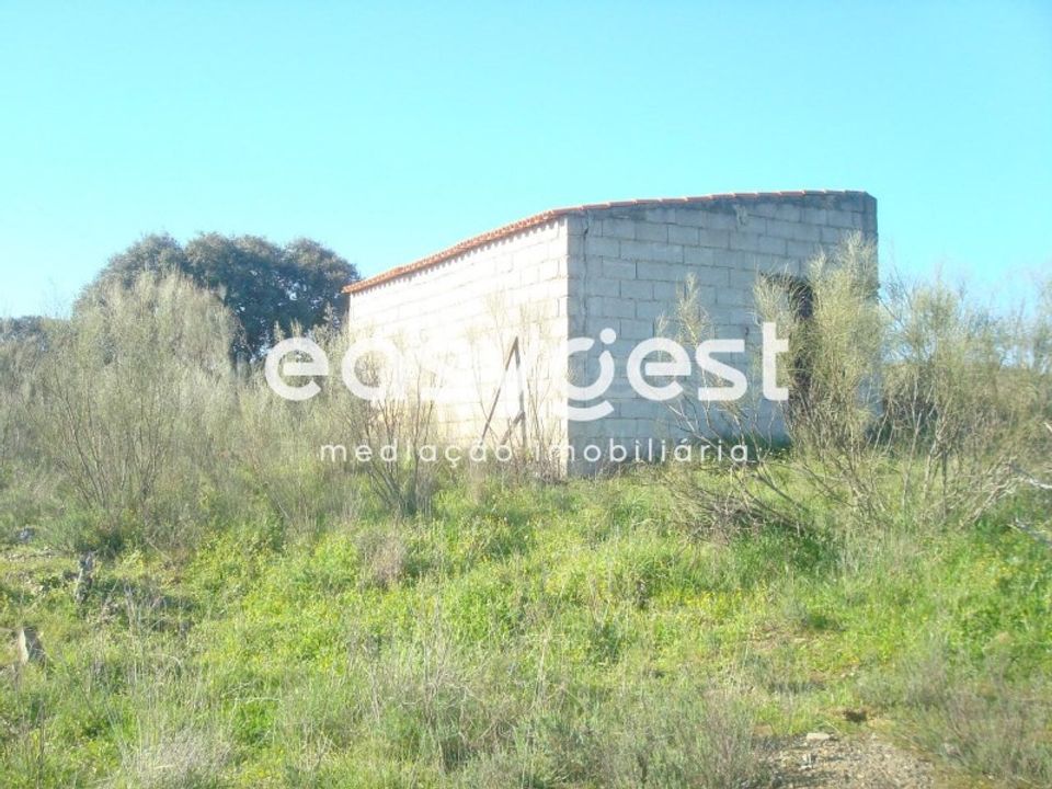 Tomt i Vila Nova de Foz Coa, Guarda - bilde 4