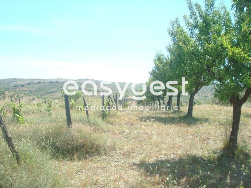 Grond in Almendra, Guarda - foto 1