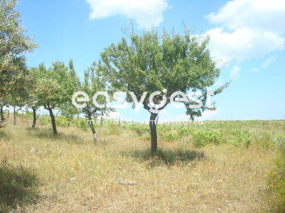 Grond in Almendra, Guarda - foto 3