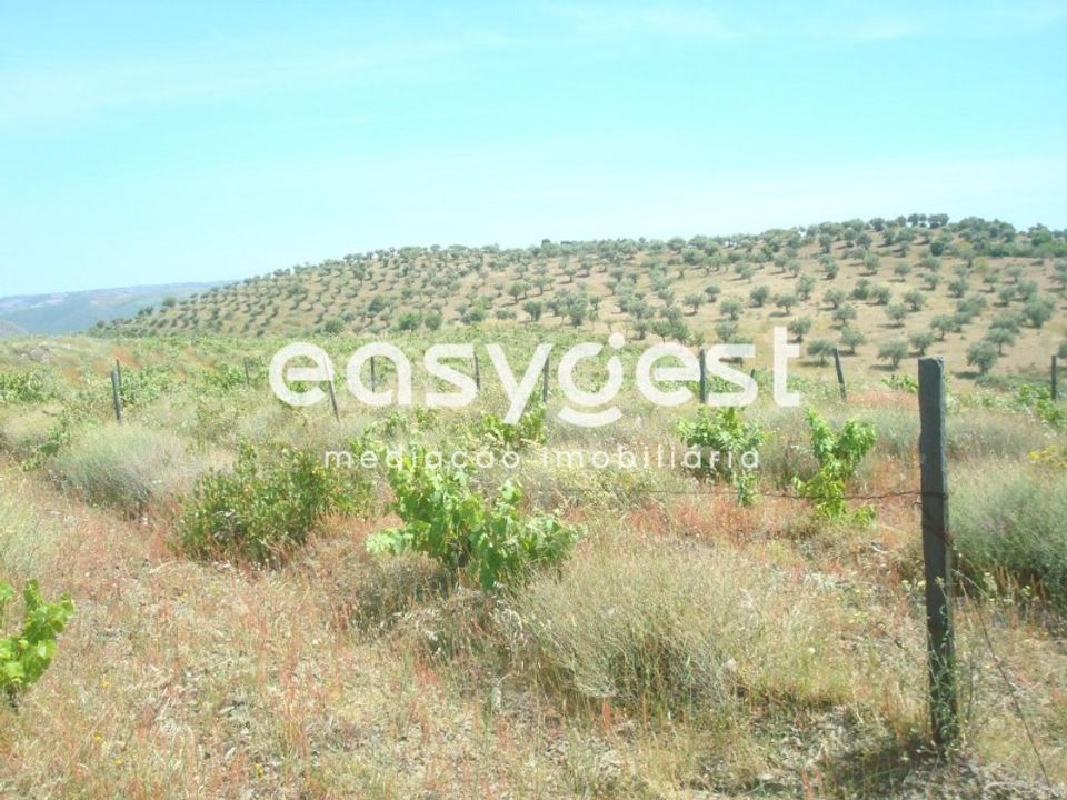 Grond in Almendra, Guarda - foto 5