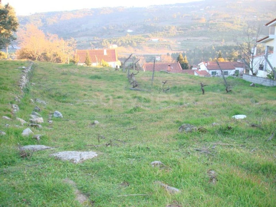 Helårsgrund i Celorico da Beira, Guarda - foto 3