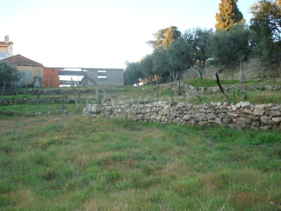 Helårsgrund i Celorico da Beira, Guarda - foto 5