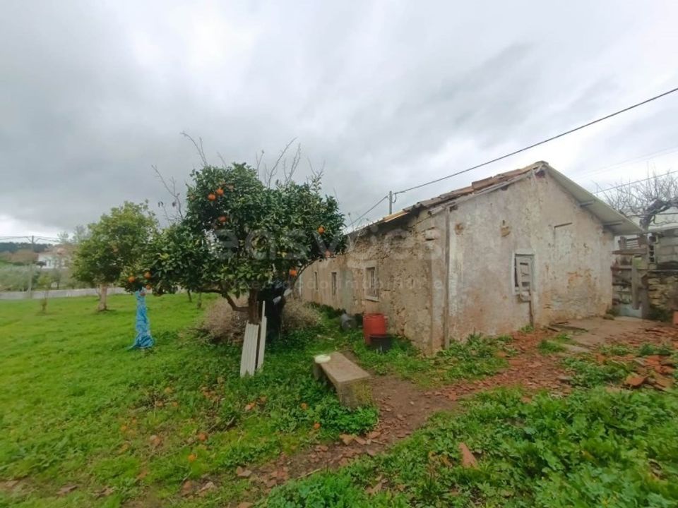 Villa - Ferreira do Zezere, Santarem - photo 5