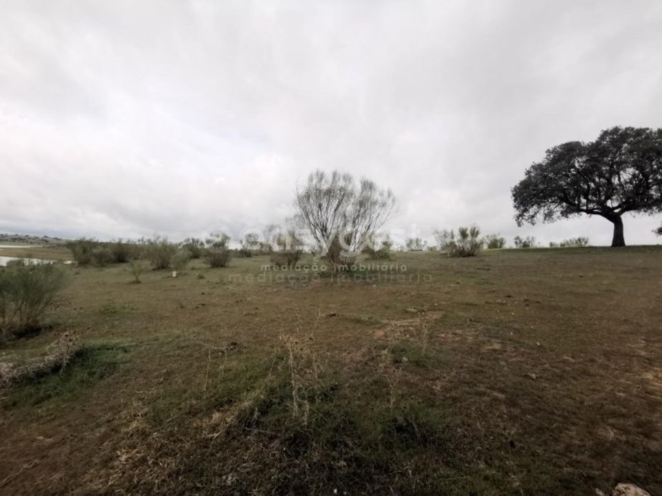 Helårsgrund i Reguengos de Monsaraz, Evora - foto 3