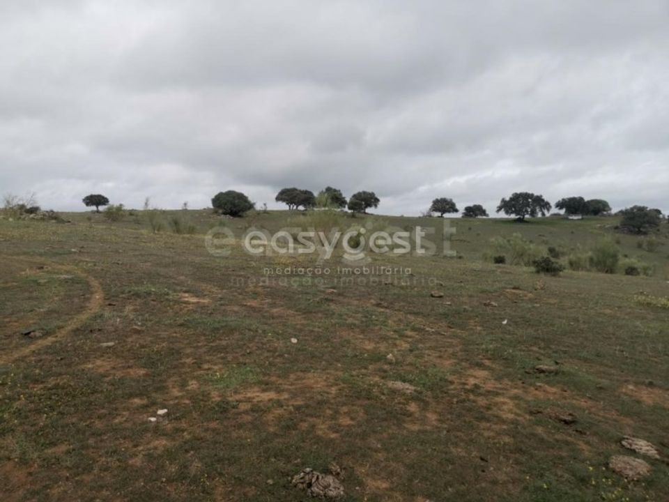 Helårsgrund i Reguengos de Monsaraz, Evora - foto 5
