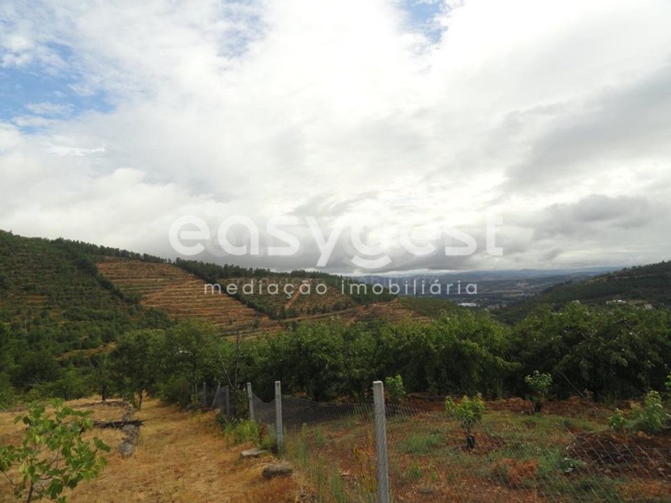 Terreno en Alcongosta, Castelo Branco - foto 1