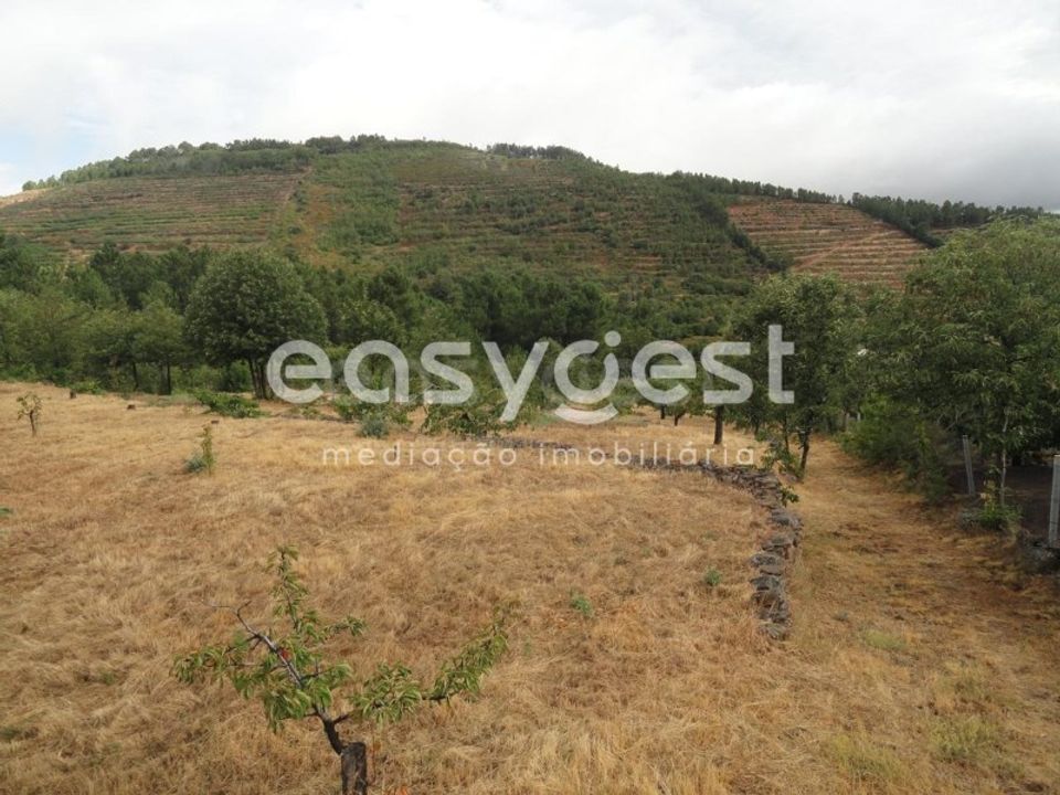 Terreno en Alcongosta, Castelo Branco - foto 3