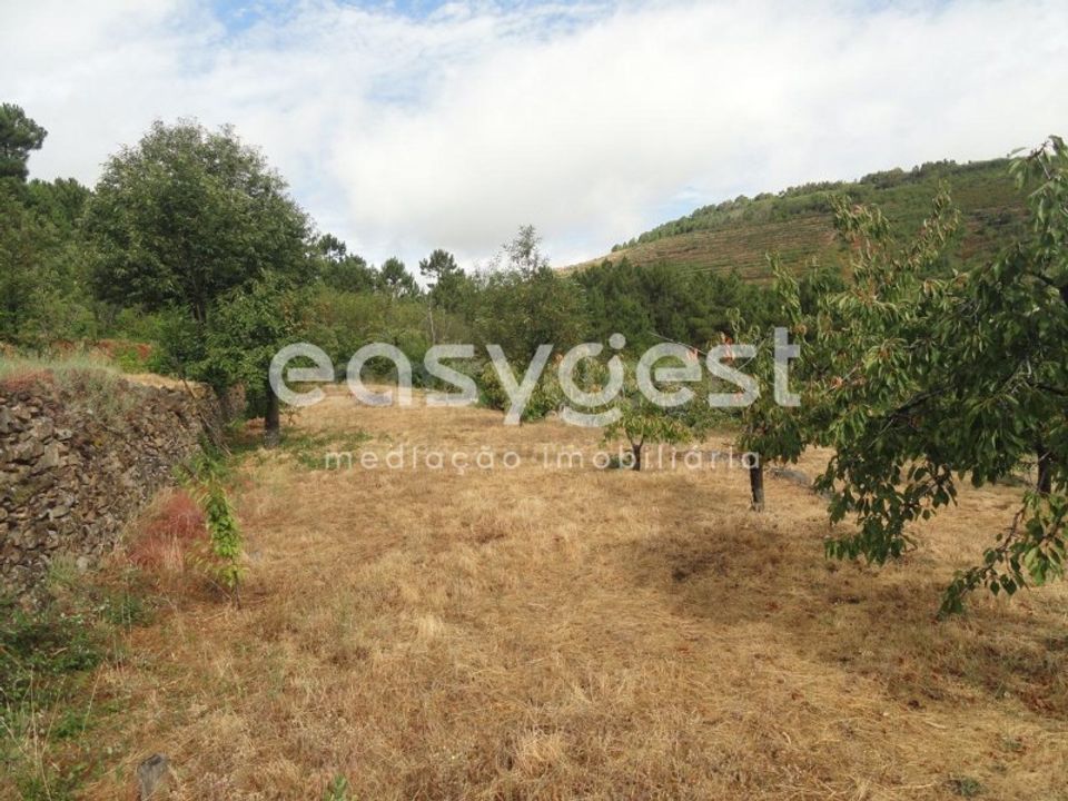 Terreno en Alcongosta, Castelo Branco - foto 4