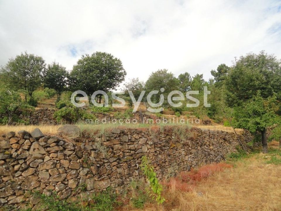 Terreno en Alcongosta, Castelo Branco - foto 5