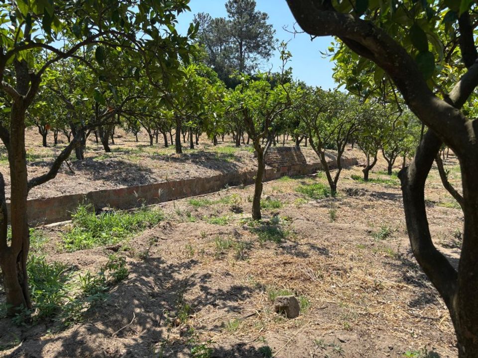 Villa i Carregueira, Santarem - foto 5