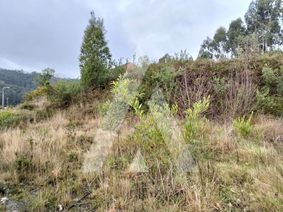 Terra em Outeiro, Viana do Castelo - foto 3