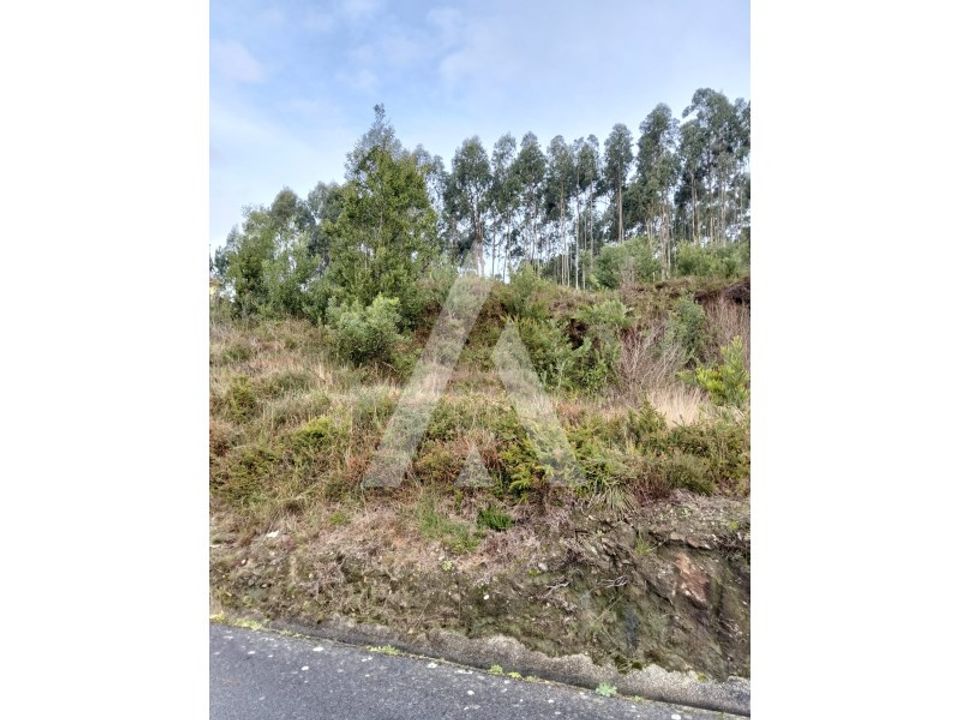 Terra em Outeiro, Viana do Castelo - foto 5