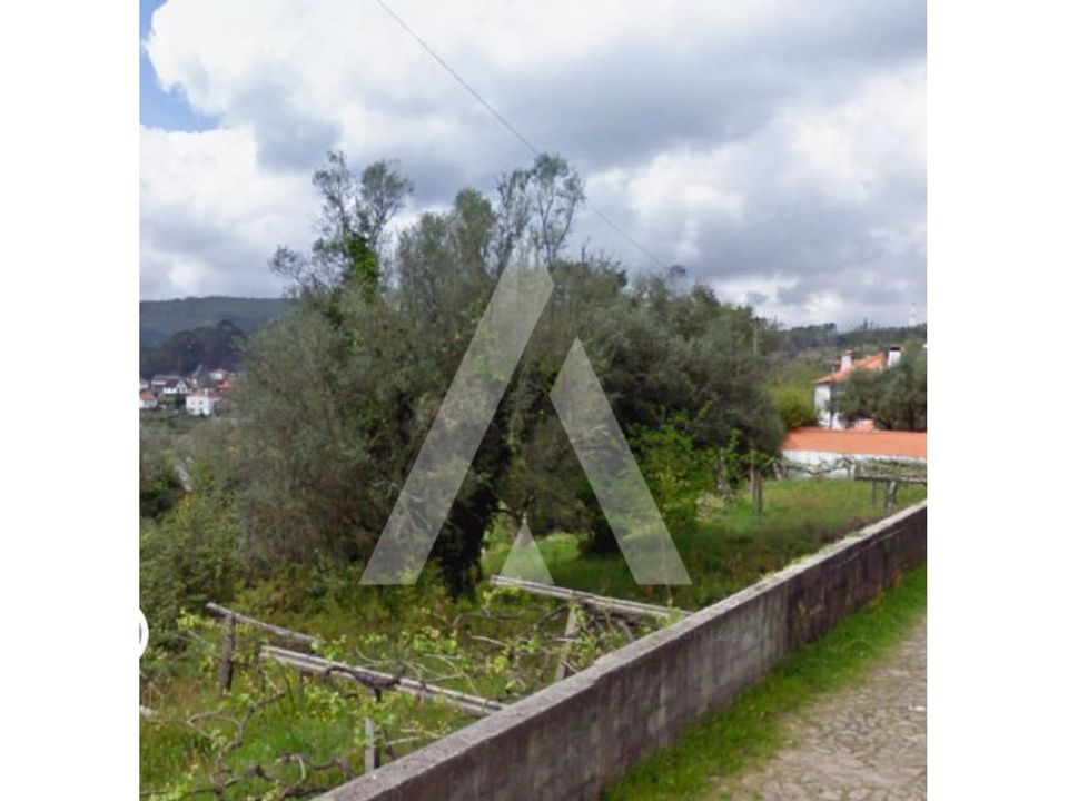 Helårsgrund i Caminha, Viana do Castelo - foto 3